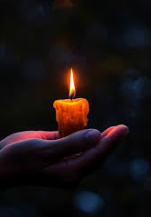 Callie Mohler Ontario, Canada Death: Beloved Callie Mohler Has Sadly Passed Away